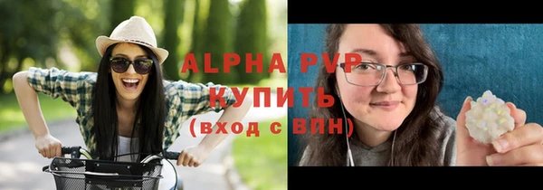 ПСИЛОЦИБИНОВЫЕ ГРИБЫ Заводоуковск
