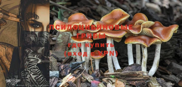 метамфетамин Ельня