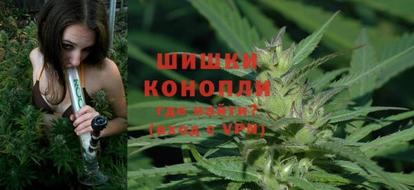 метамфетамин Ельня